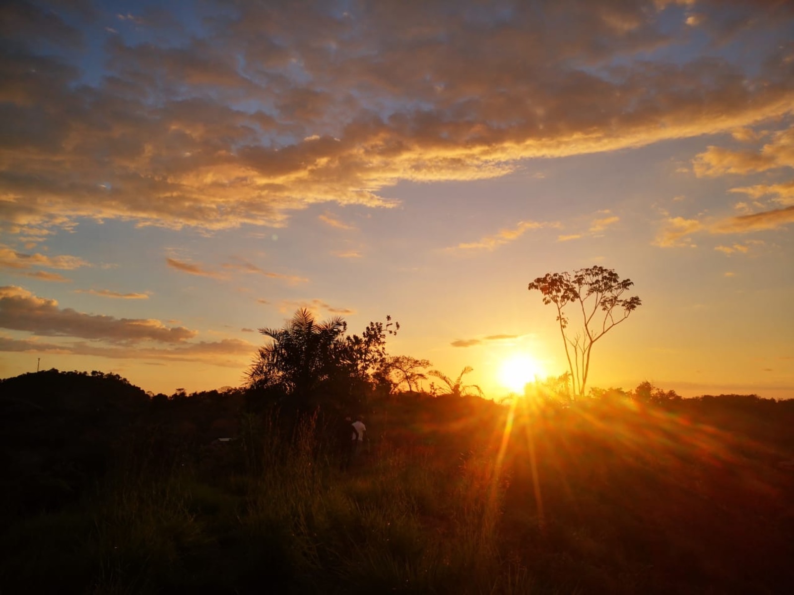 0 bed Land For Sale in Quepos, Puntarenas - thumb 9