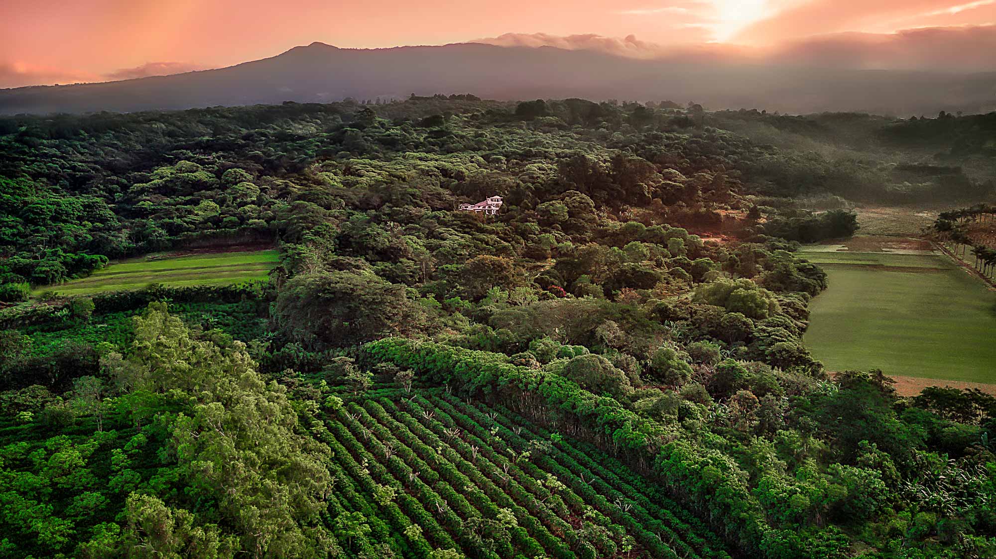 14 bed Hotel / Leisure For Sale in Heredia, Heredia - thumb 28