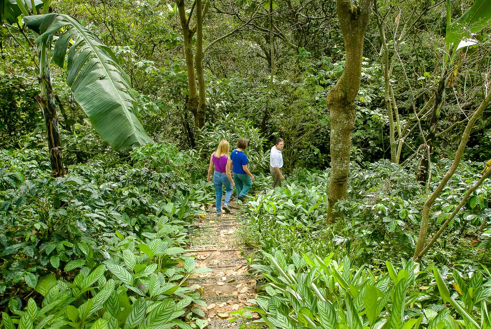 14 bed Hotel / Leisure For Sale in Heredia, Heredia - thumb 29