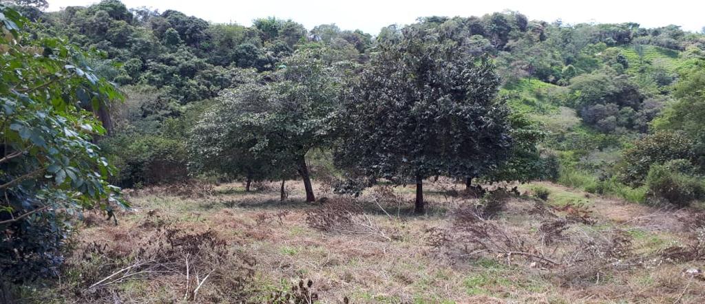 0 bed Land For Sale in Atenas, Alajuela - thumb 2