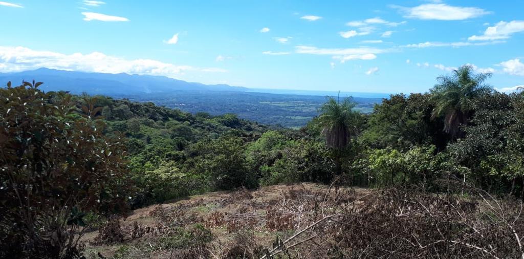 0 bed Land For Sale in Atenas, Alajuela - thumb 3