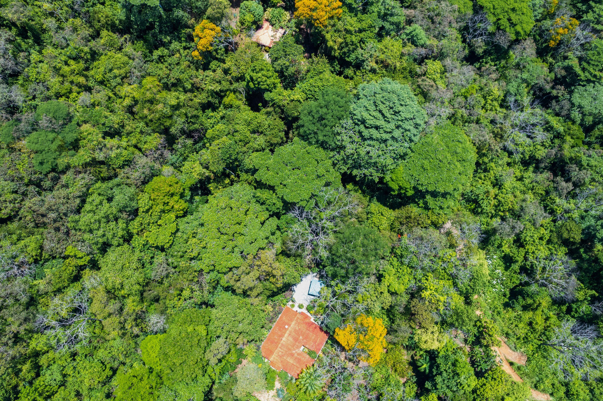 3 bed Single Family Homes For Sale in Dominical, Puntarenas - thumb 14