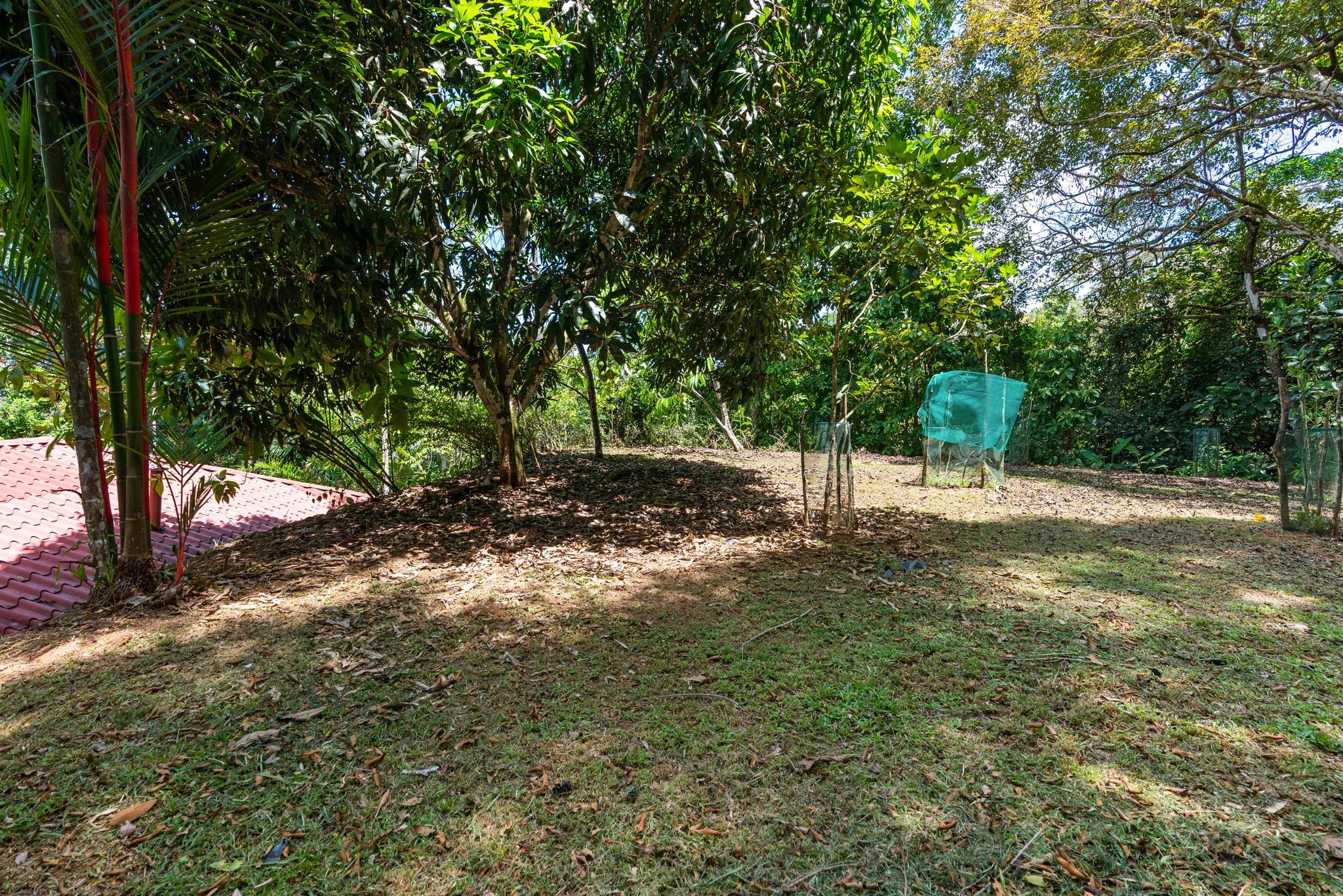 3 bed Single Family Homes For Sale in Dominical, Puntarenas - thumb 15