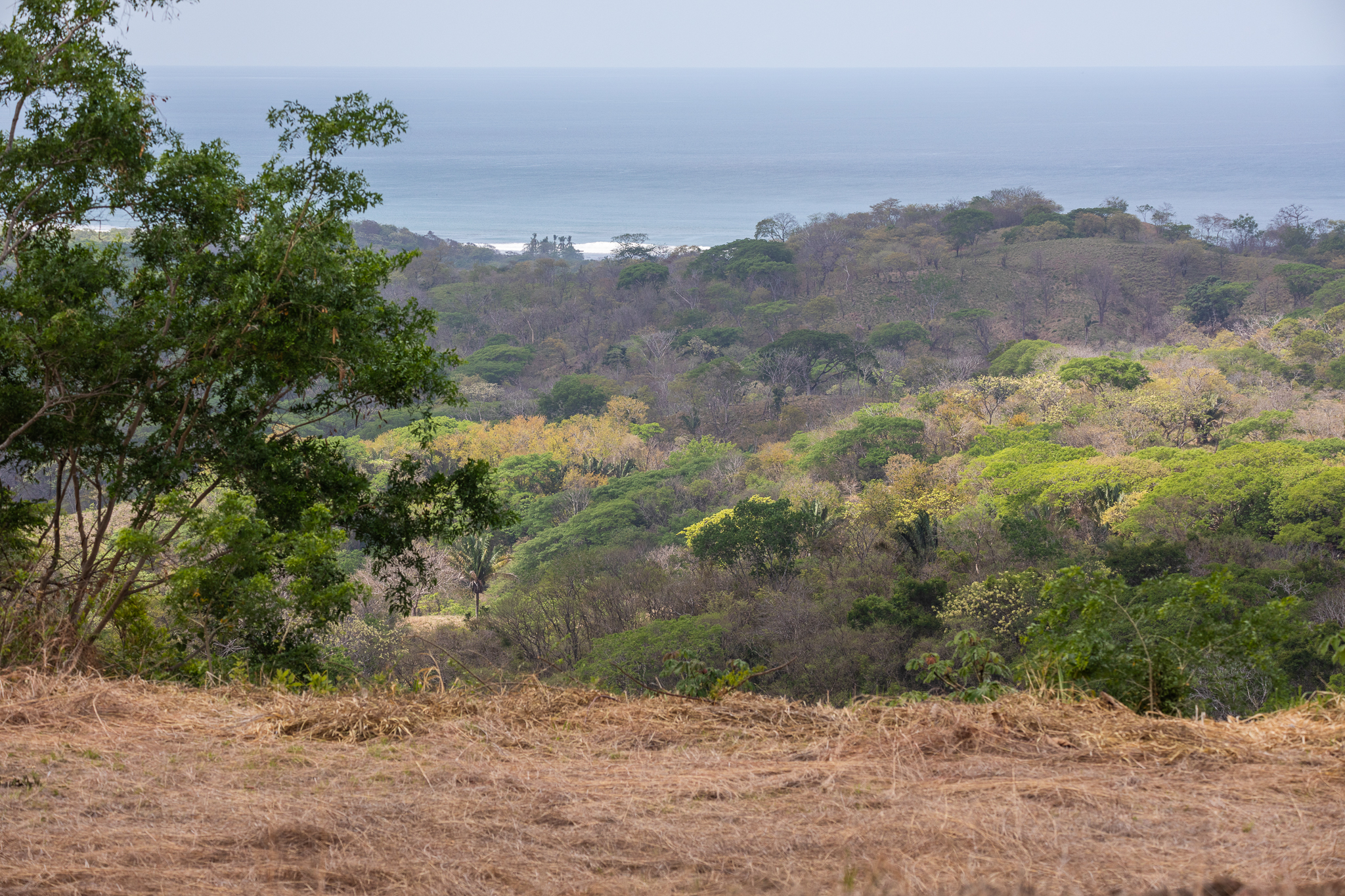 0 bed Land For Sale in Nosara, Guanacaste - thumb 2