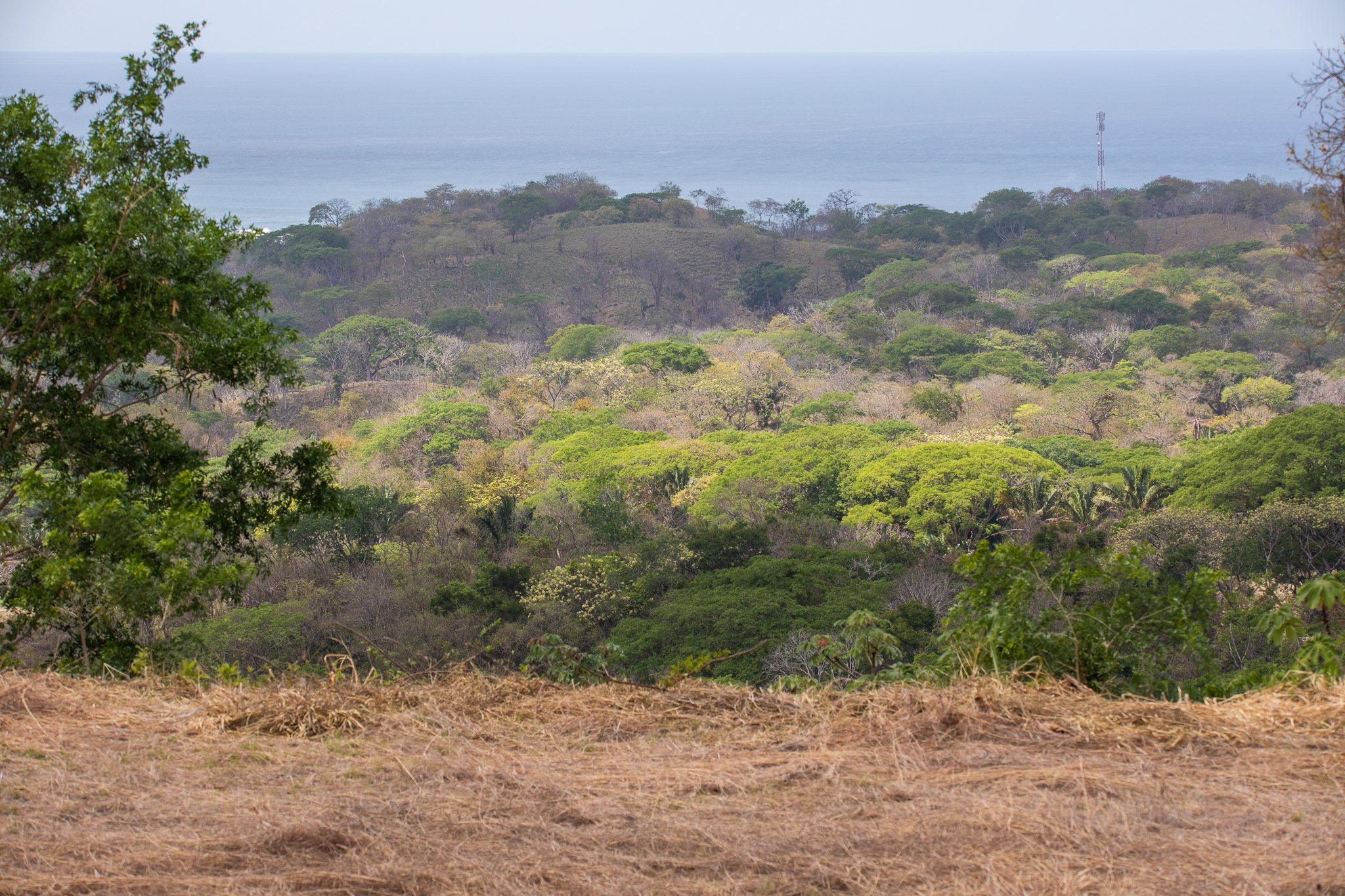 0 bed Land For Sale in Nosara, Guanacaste - thumb 3