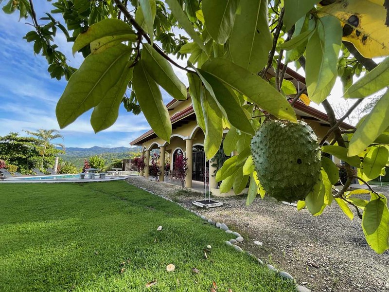 3 bed Single Family Homes For Sale in Ojochal, Puntarenas - thumb 15