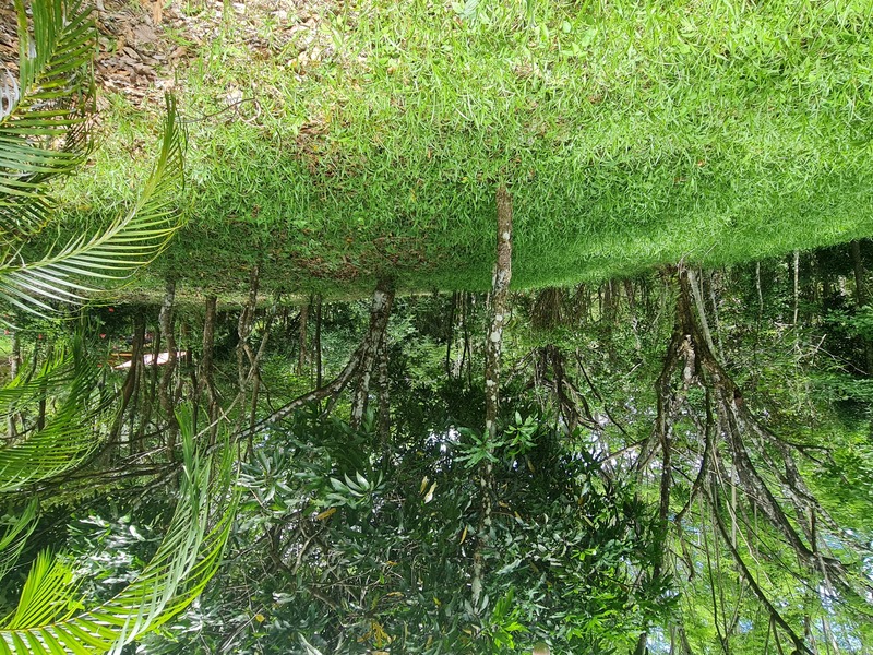0 bed Land For Sale in Cobano, Puntarenas - 1