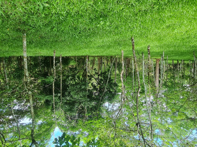 1 bed Land For Sale in Cobano, Puntarenas - 1