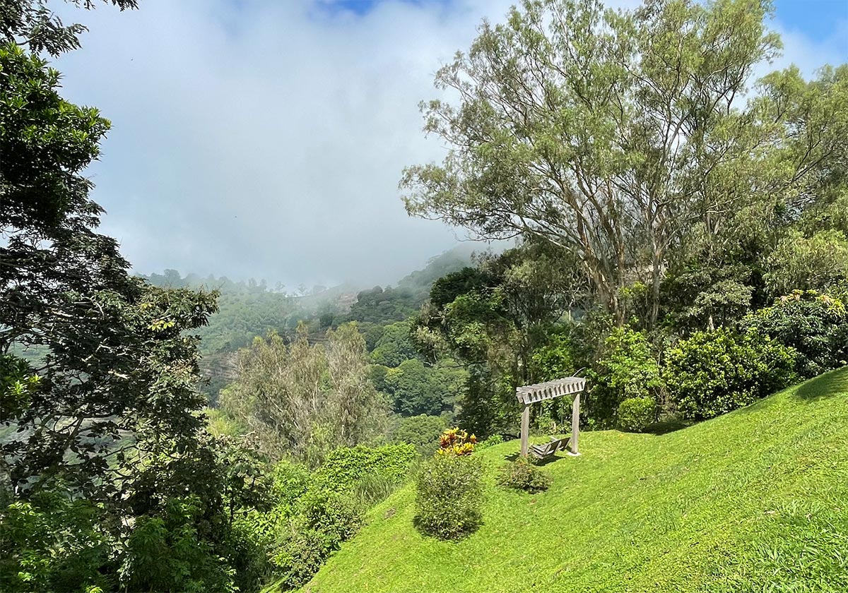 3 bed Single Family Homes For Sale in Atenas, Alajuela - thumb 10