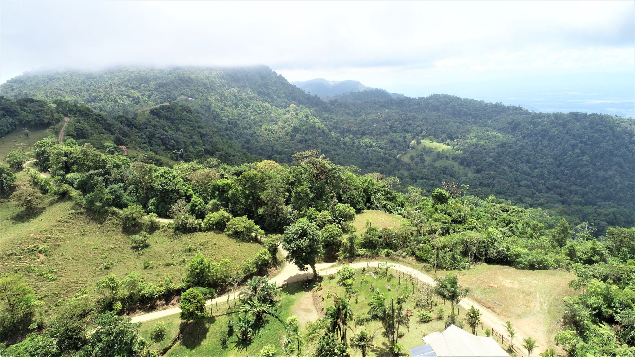 0 bed Land For Sale in Ojochal, Puntarenas - thumb 17