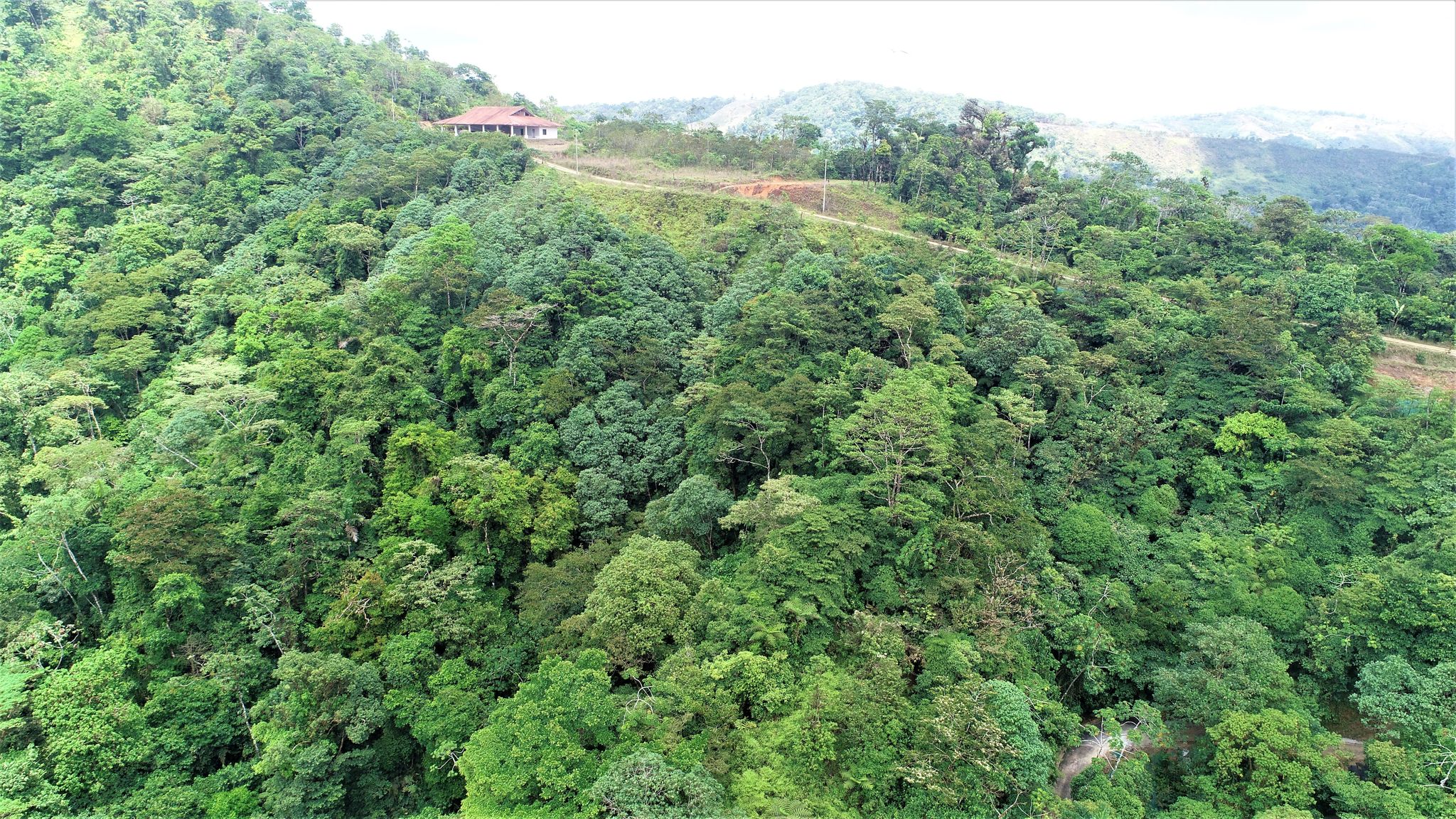 0 bed Land For Sale in Ojochal, Puntarenas - thumb 18