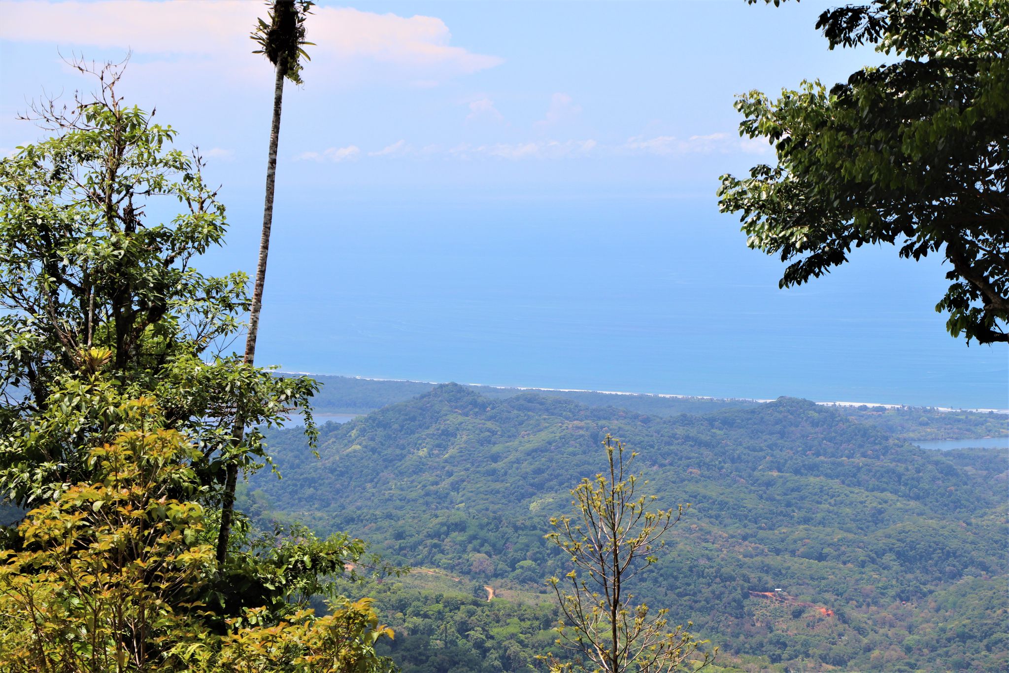 0 bed Land For Sale in Ojochal, Puntarenas - thumb 10