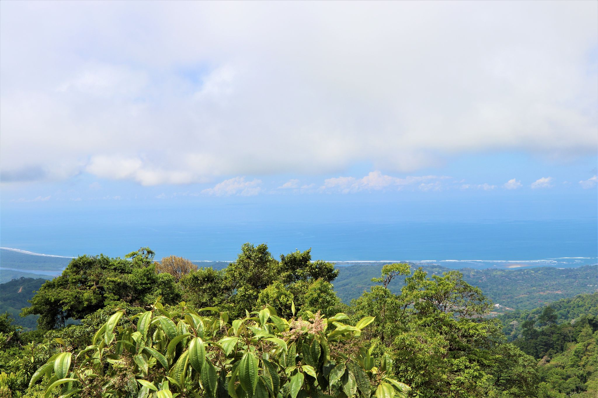0 bed Land For Sale in Ojochal, Puntarenas - thumb 5
