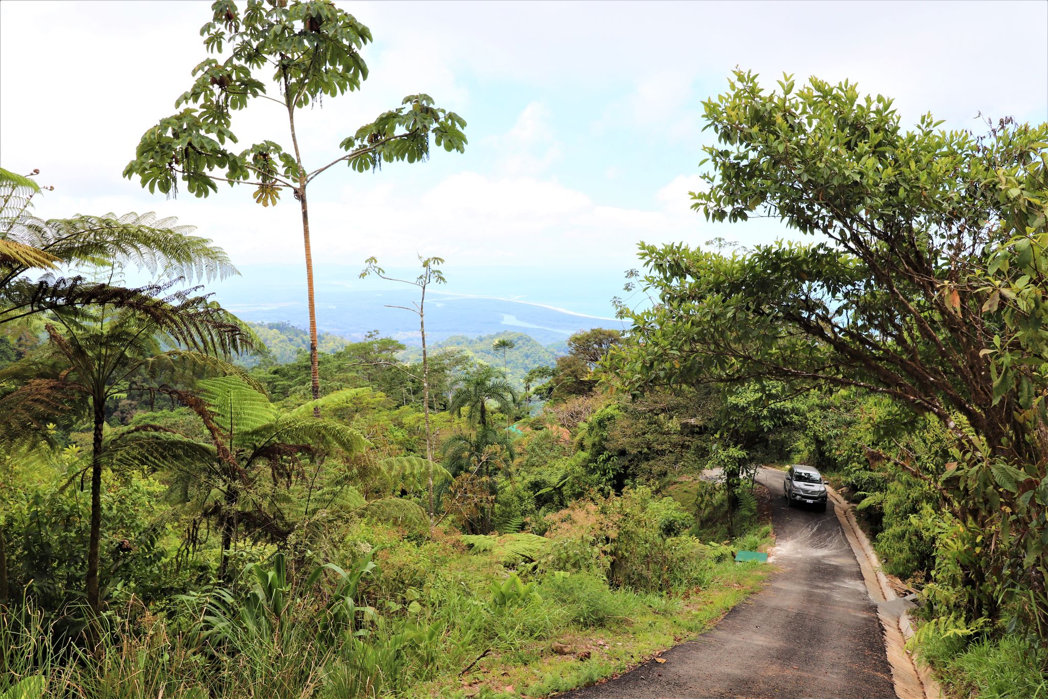 0 bed Land For Sale in Ojochal, Puntarenas - thumb 4