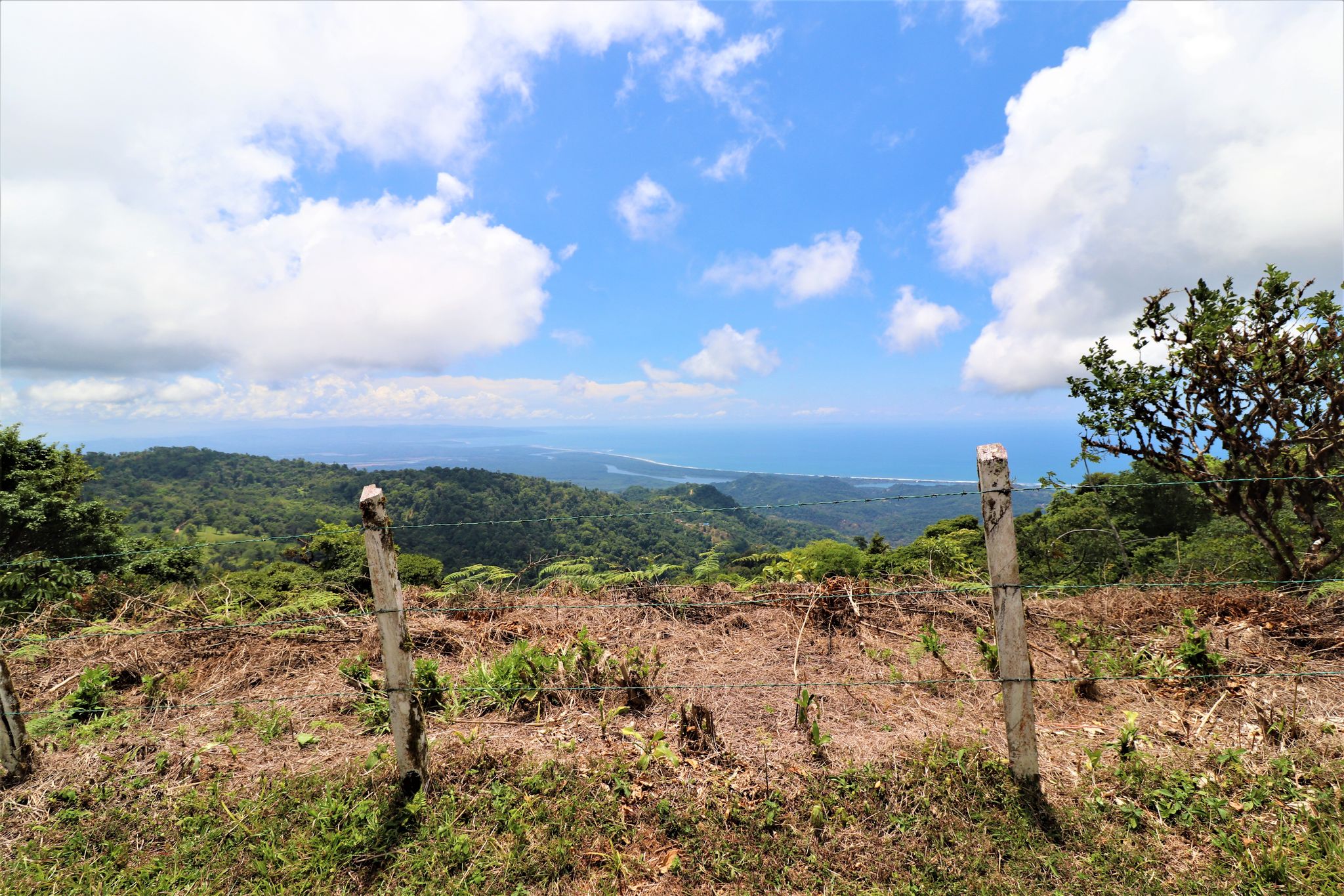 0 bed Land For Sale in Ojochal, Puntarenas - thumb 9