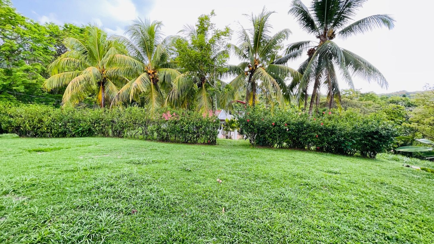 4 bed Single Family Homes For Sale in Ojochal, Puntarenas - thumb 9