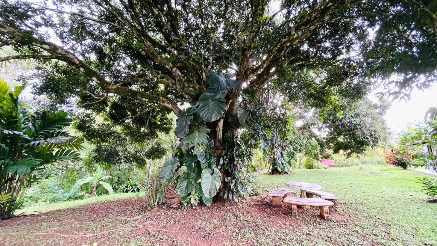 4 bed Single Family Homes For Sale in Ojochal, Puntarenas - thumb 13