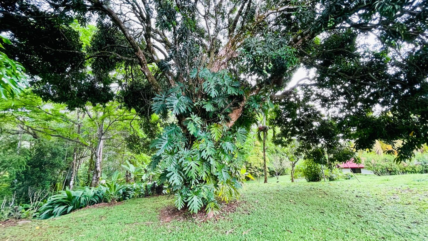 4 bed Single Family Homes For Sale in Ojochal, Puntarenas - thumb 10