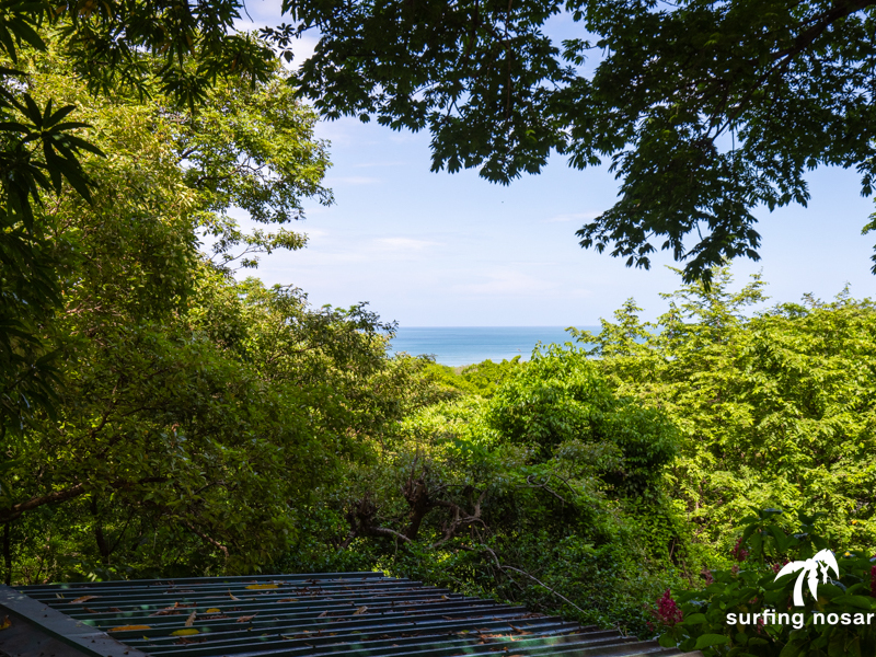 4 bed Single Family Homes For Rent in Nosara, Guanacaste - hero 3