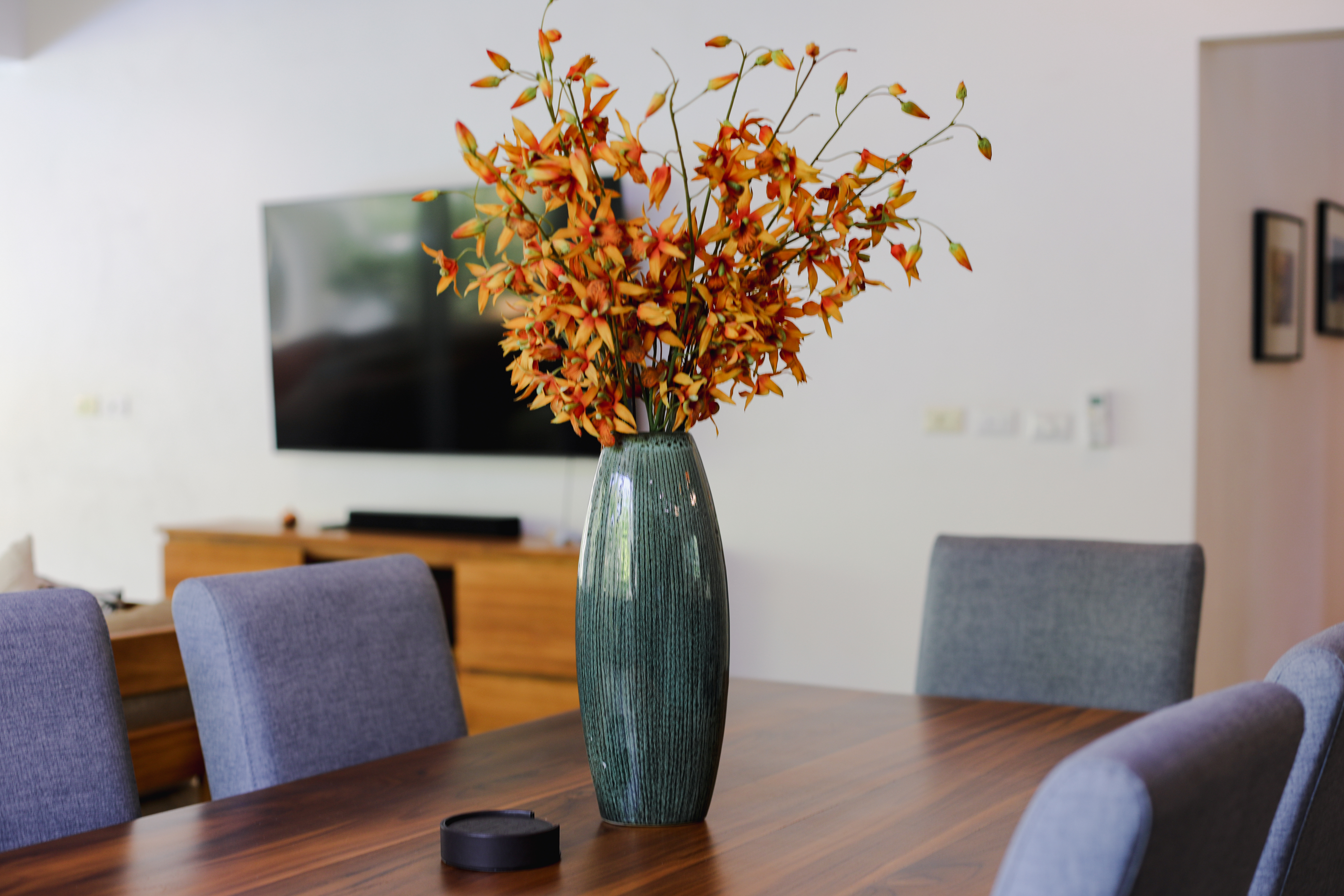 3 bed Single Family Homes For Rent in Nosara, Guanacaste - thumb 26