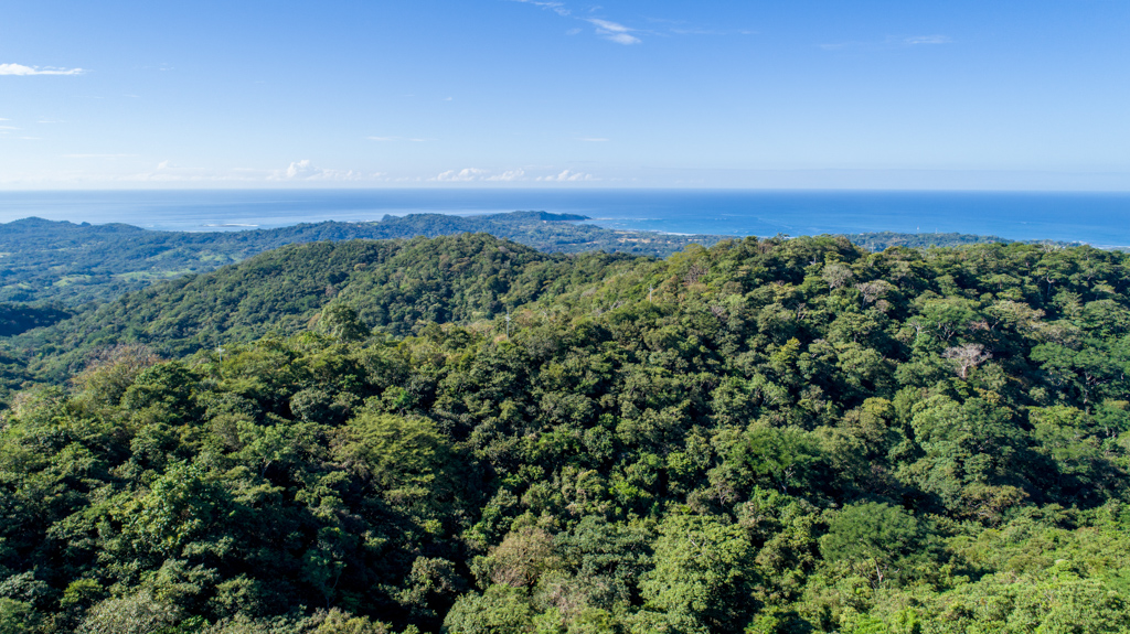 4 bed Single Family Homes For Rent in Nosara, Guanacaste - thumb 7