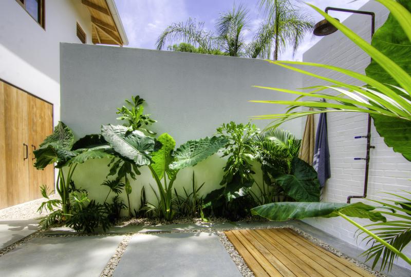 3 bed Single Family Homes For Rent in Nosara, Guanacaste - thumb 4