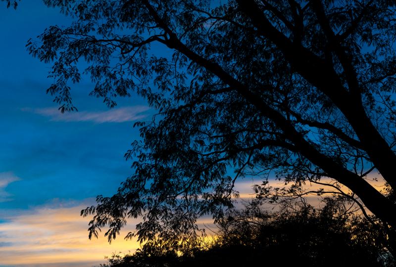 3 bed Single Family Homes For Rent in Nosara, Guanacaste - thumb 25