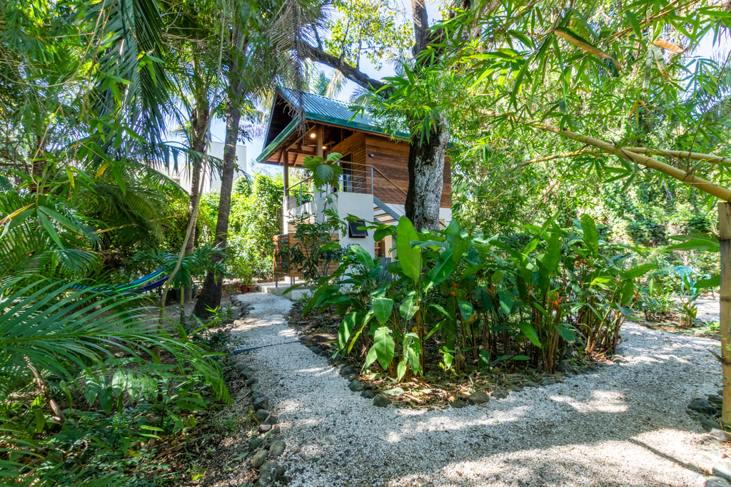 1 bed Apartment For Rent in Nosara, Guanacaste - thumb 1