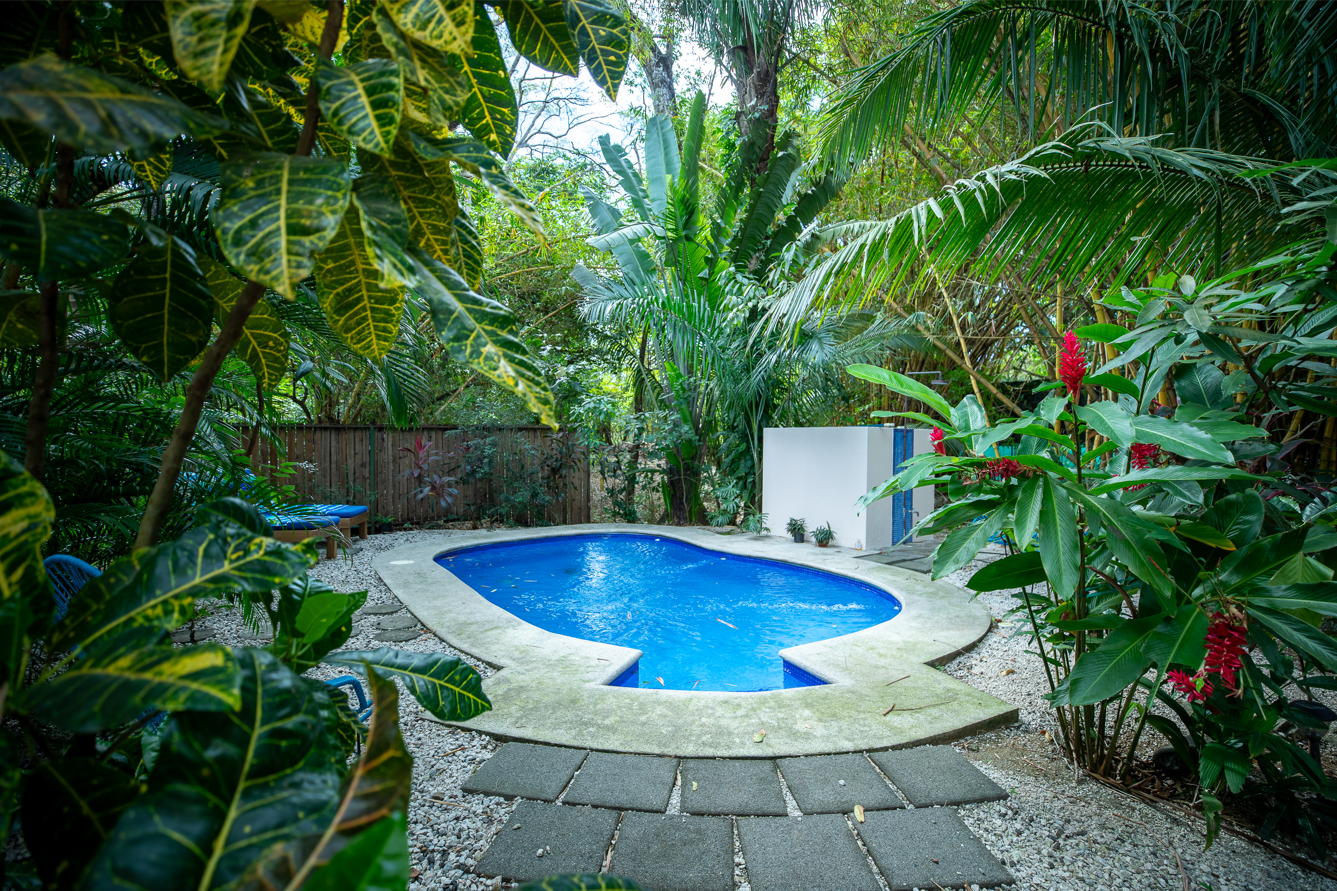 1 bed Apartment For Rent in Nosara, Guanacaste - thumb 9