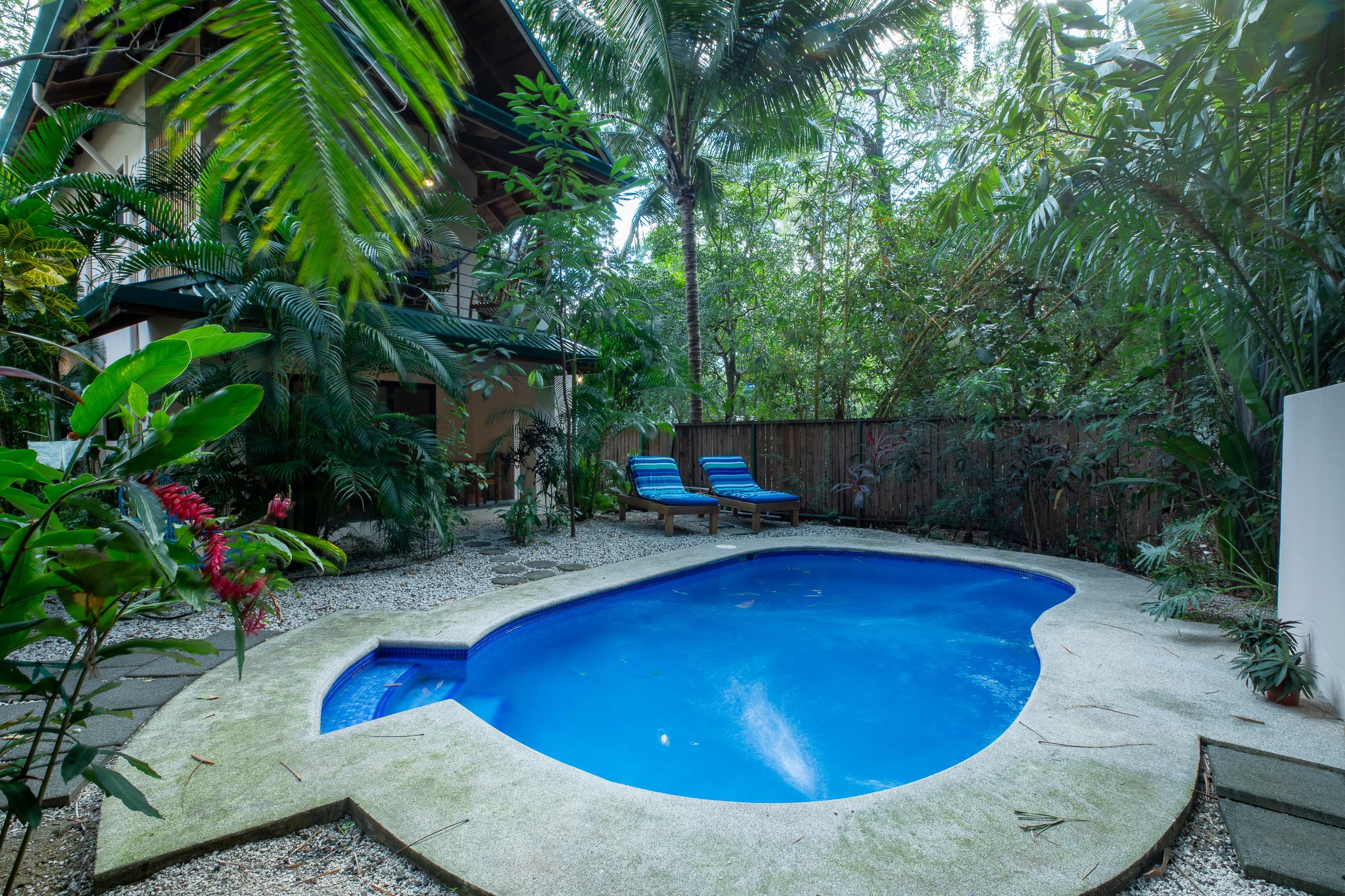 1 bed Apartment For Rent in Nosara, Guanacaste - thumb 15