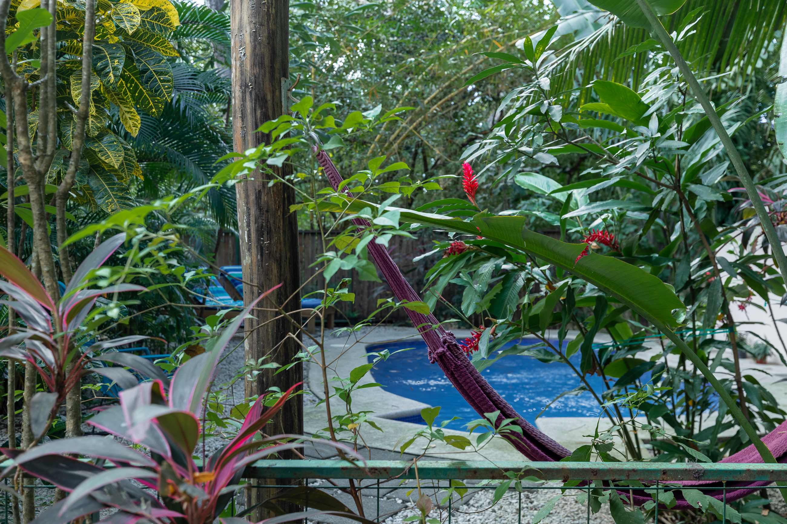 1 bed Apartment For Rent in Nosara, Guanacaste - thumb 14