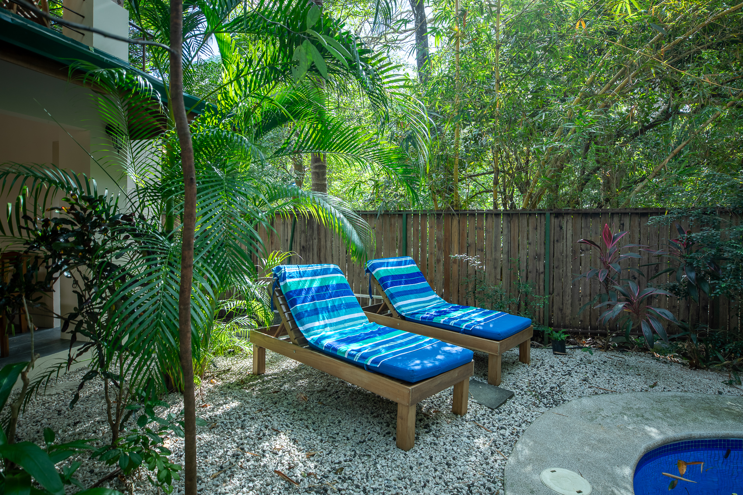 1 bed Apartment For Rent in Nosara, Guanacaste - thumb 17