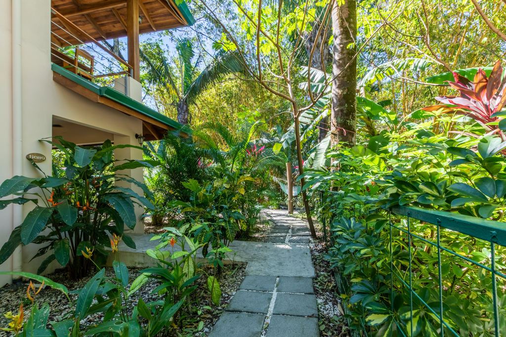 1 bed Apartment For Rent in Nosara, Guanacaste - thumb 14