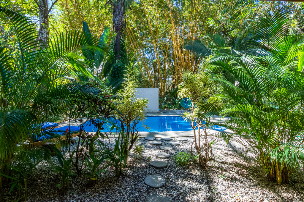 1 bed Apartment For Rent in Nosara, Guanacaste - thumb 13