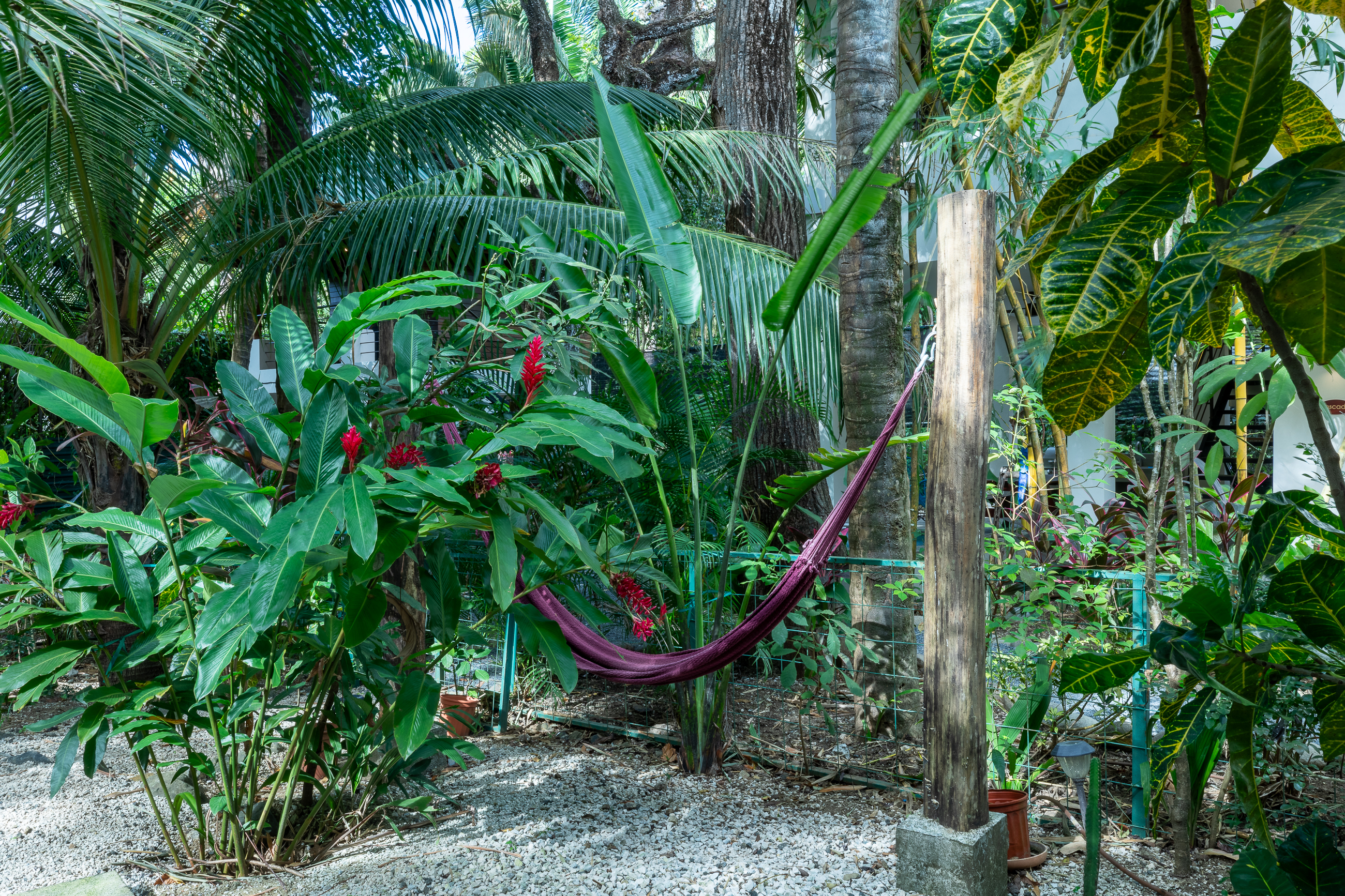 1 bed Apartment For Rent in Nosara, Guanacaste - thumb 16