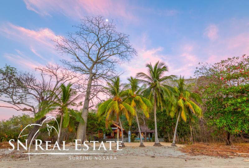 4 bed Single Family Homes For Rent in Nosara, Guanacaste - thumb 3