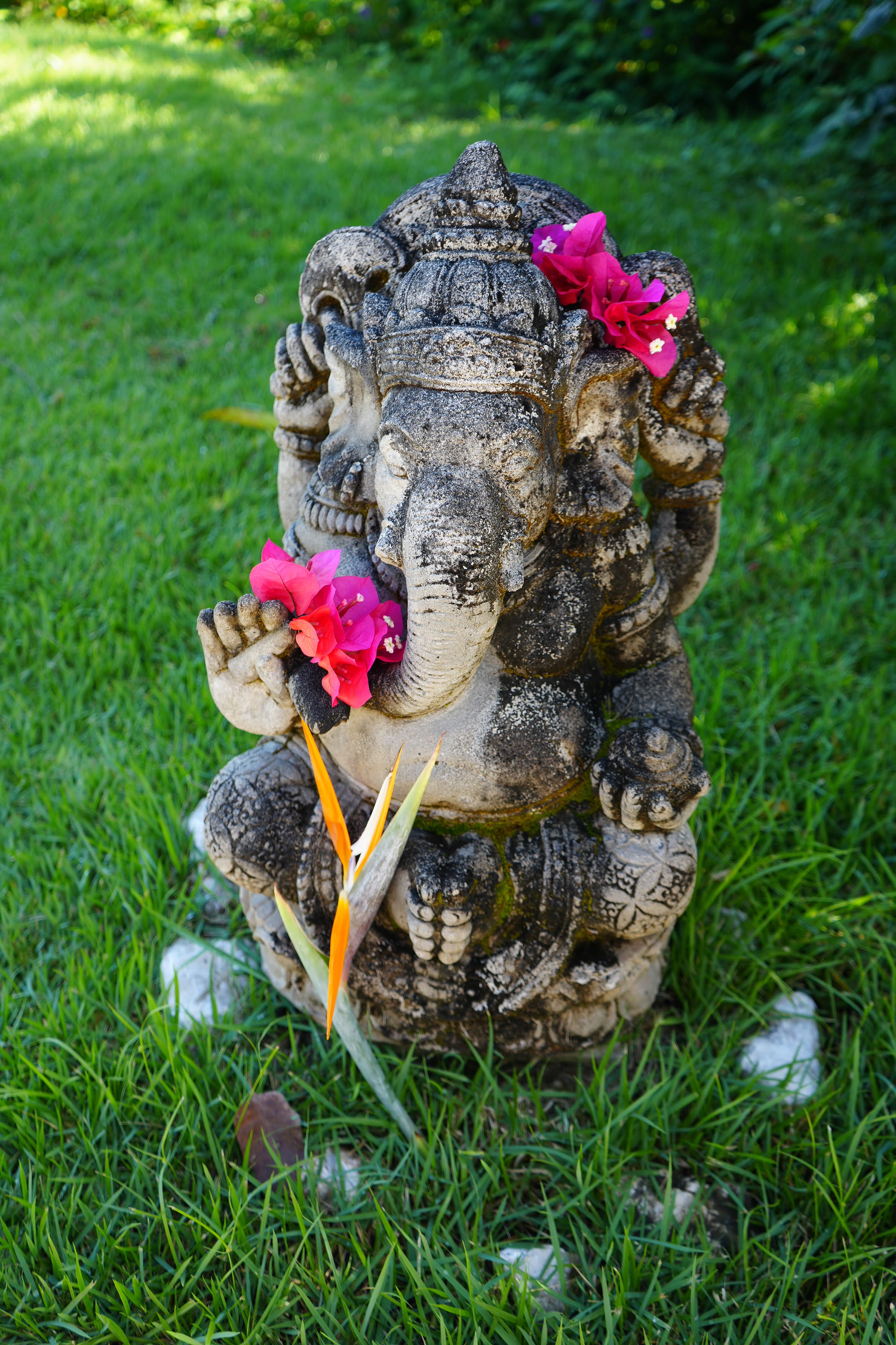 2 bed Single Family Homes For Rent in Nosara, Guanacaste - thumb 10