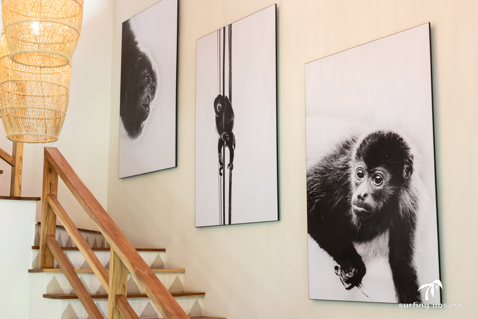 5 bed Single Family Homes For Rent in Nosara, Guanacaste - thumb 30