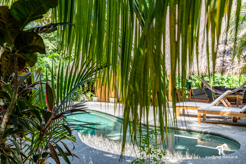 5 bed Single Family Homes For Rent in Nosara, Guanacaste - thumb 26