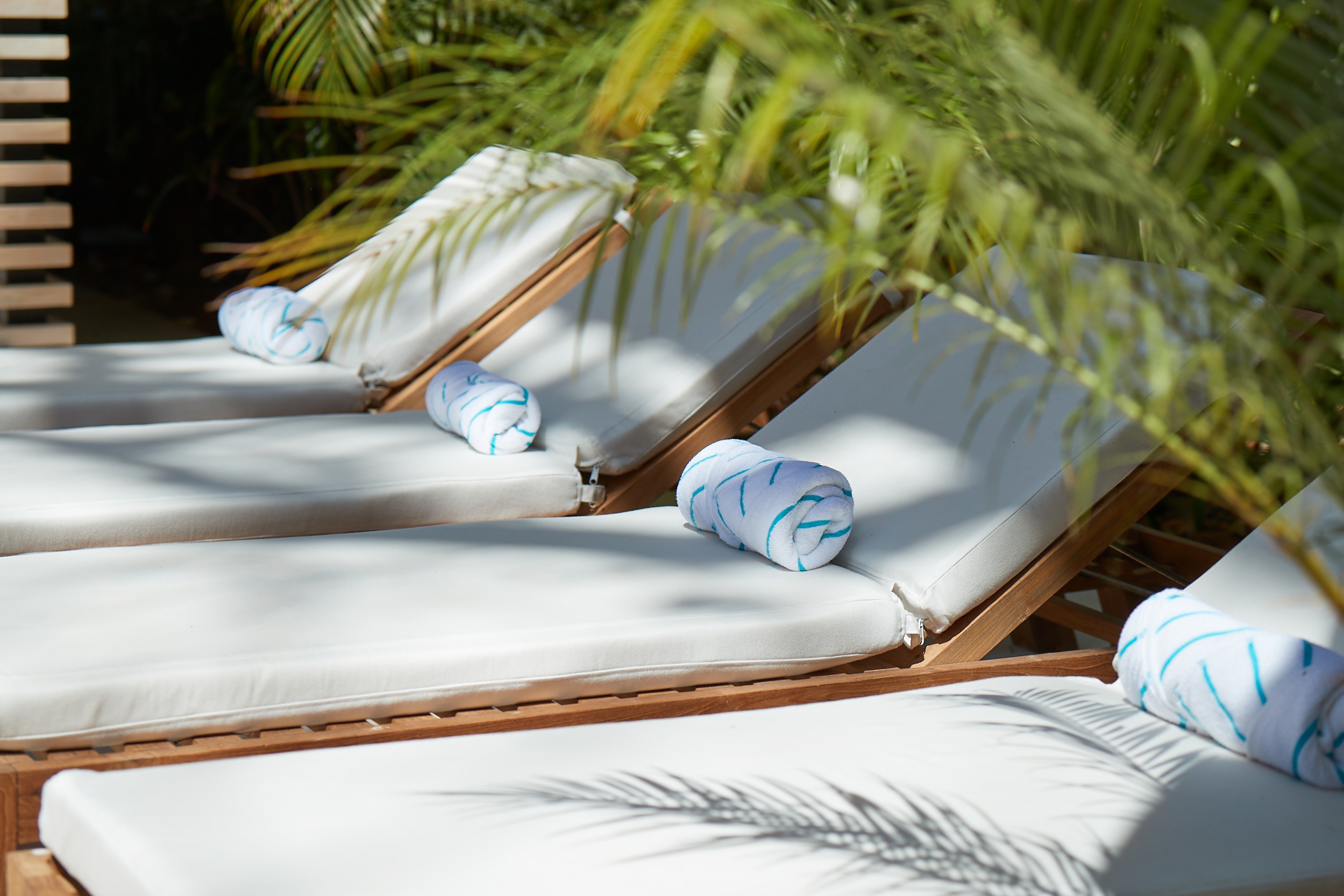 5 bed Single Family Homes For Rent in Nosara, Guanacaste - thumb 5