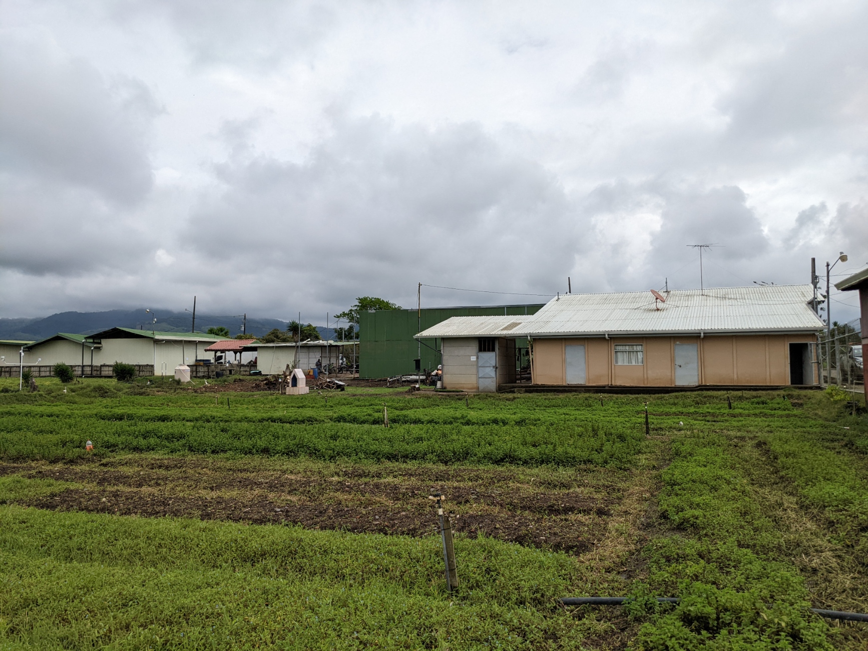 2 bed Land For Sale in El Tejar, Cartago - thumb 2
