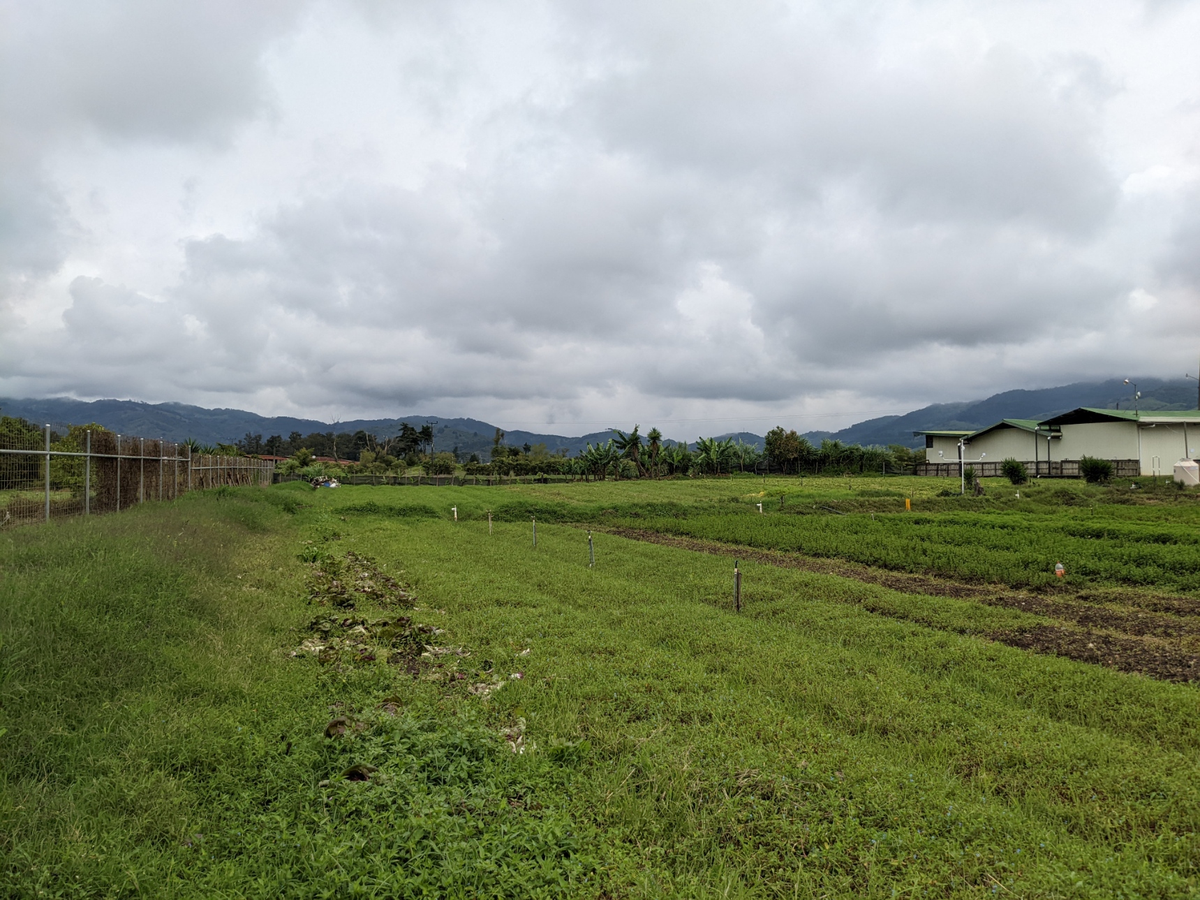 2 bed Land For Sale in El Tejar, Cartago - thumb 8