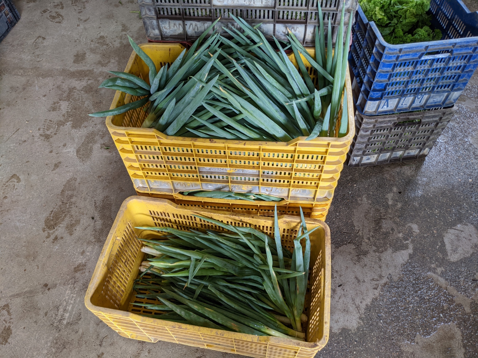 2 bed Land For Sale in El Tejar, Cartago - thumb 22