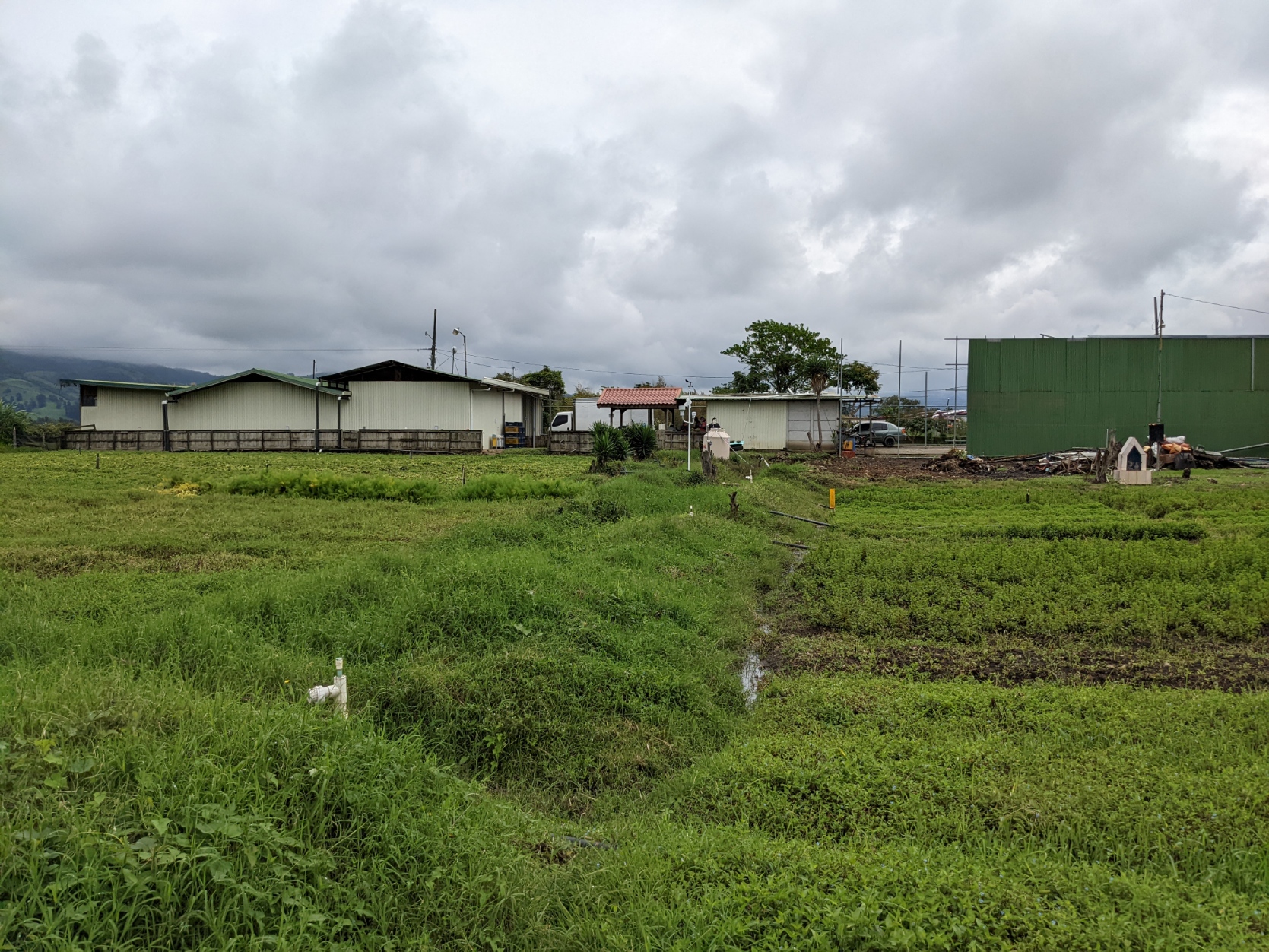 2 bed Land For Sale in El Tejar, Cartago - thumb 11