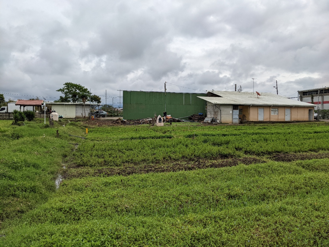 2 bed Land For Sale in El Tejar, Cartago - thumb 12