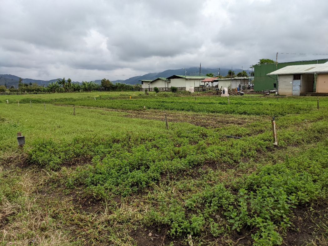2 bed Land For Sale in El Tejar, Cartago - thumb 5