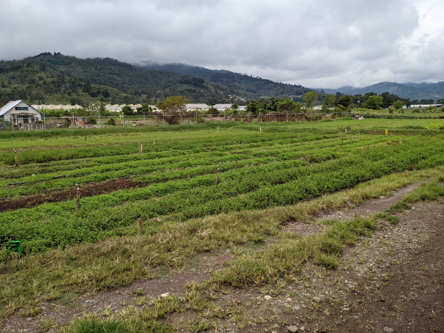 2 bed Land For Sale in El Tejar, Cartago - thumb 1