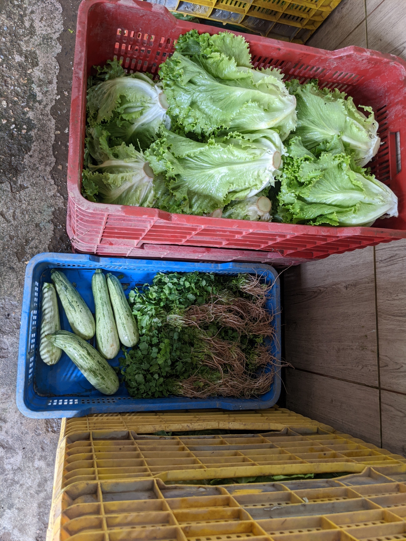 2 bed Land For Sale in El Tejar, Cartago - thumb 20