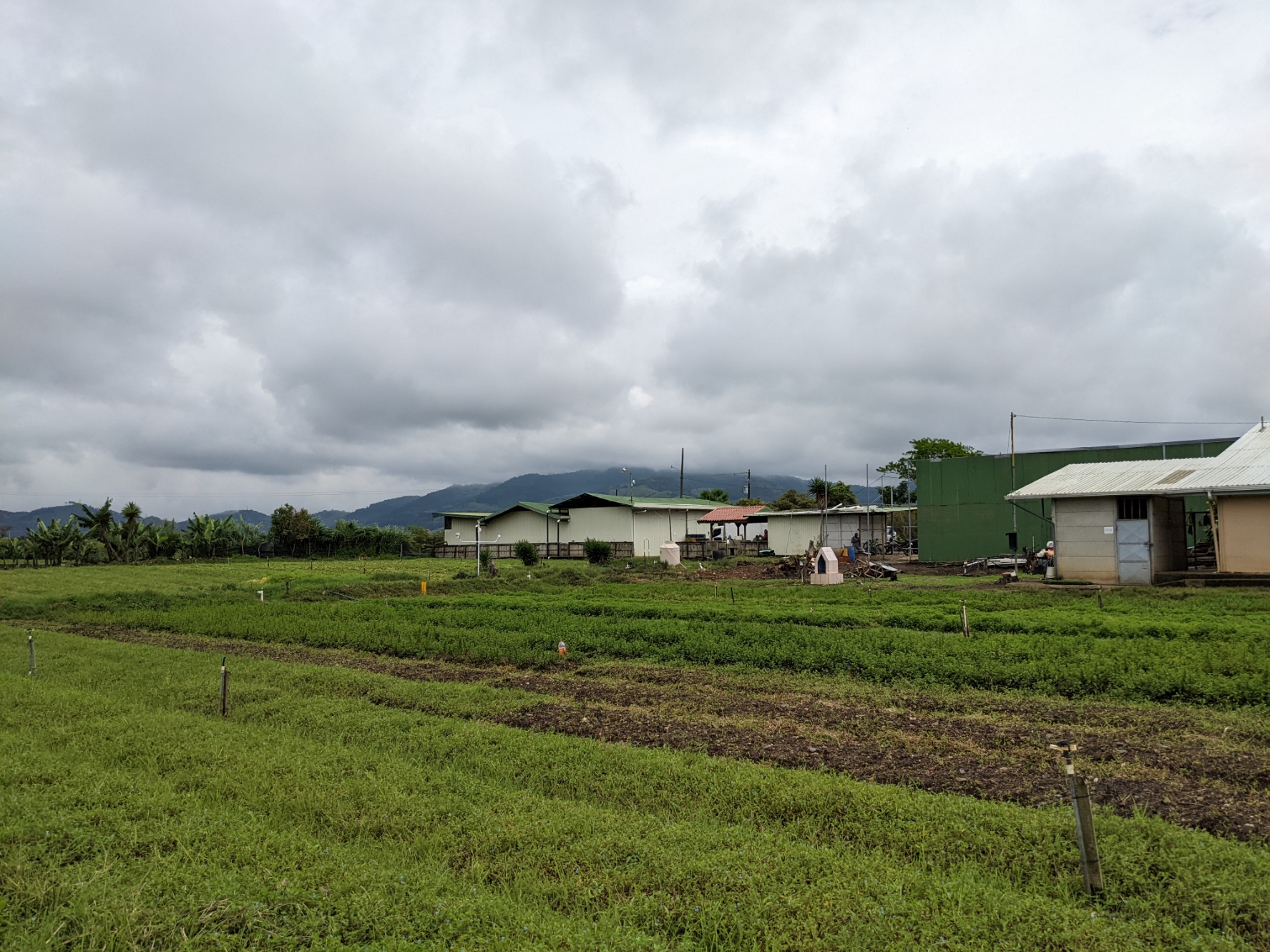 2 bed Land For Sale in El Tejar, Cartago - thumb 7