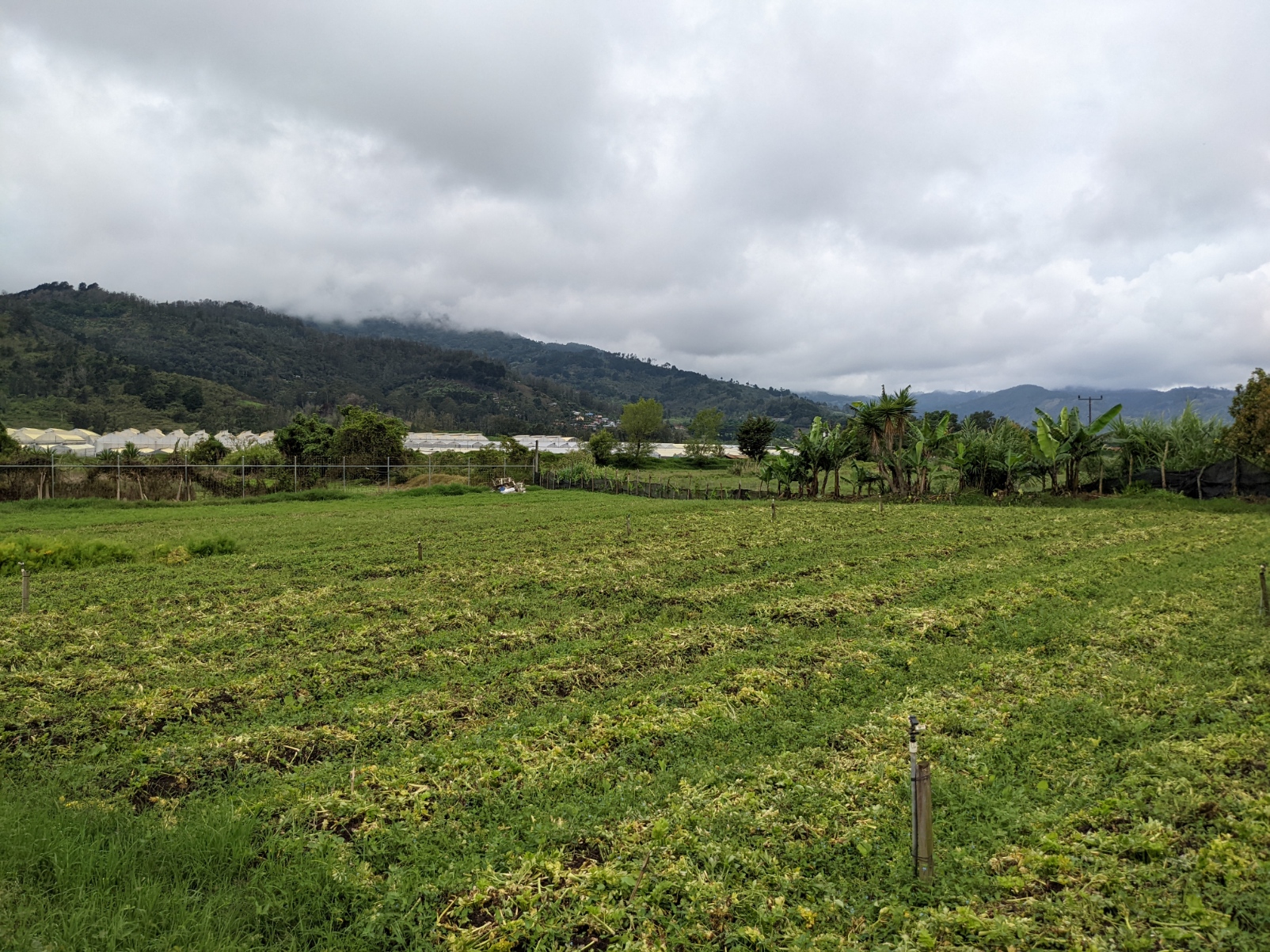 2 bed Land For Sale in El Tejar, Cartago - thumb 13